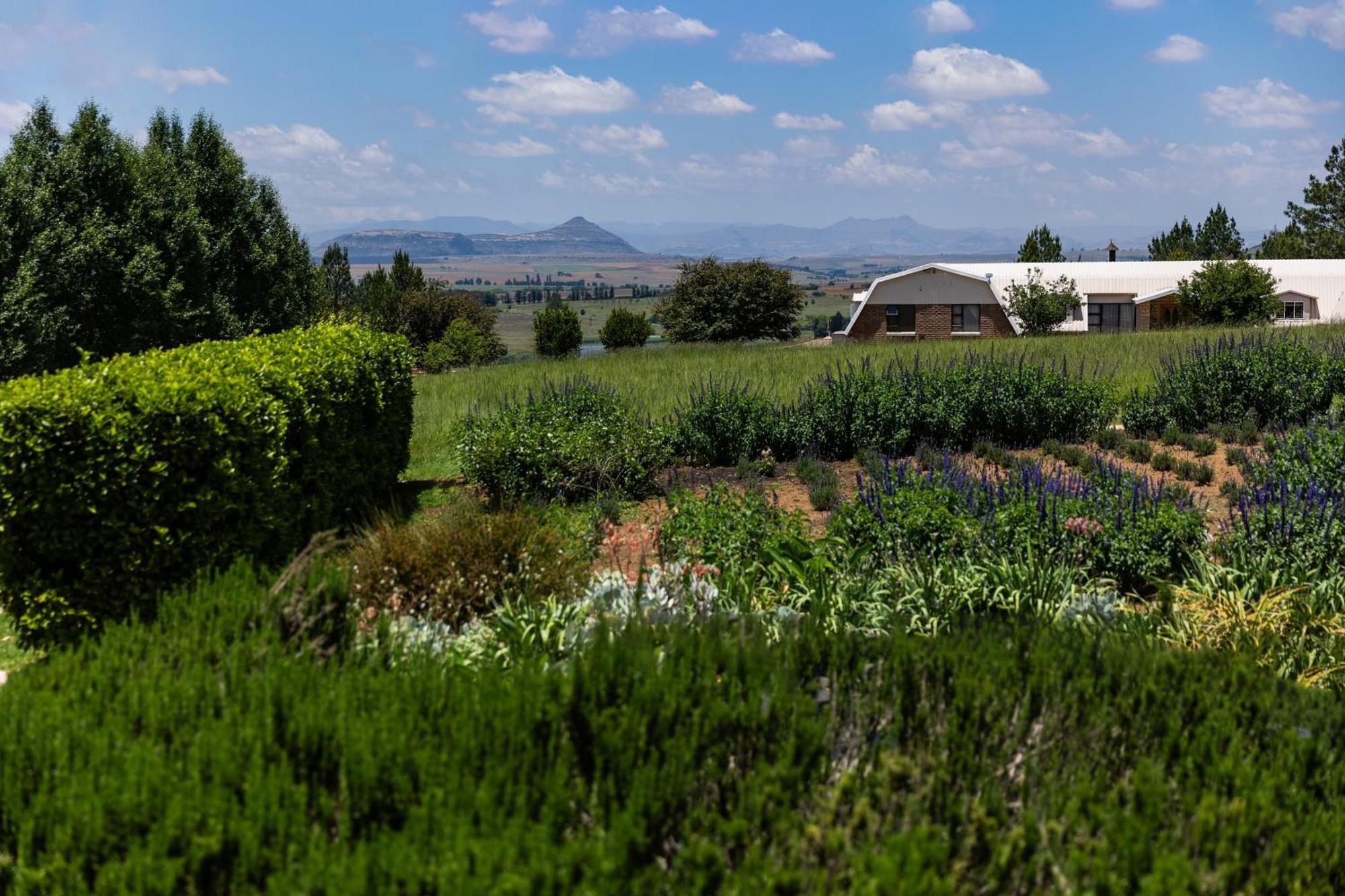Lavender Hill Country Estate And Wedding Venue Guest House Bethlehem Exterior foto
