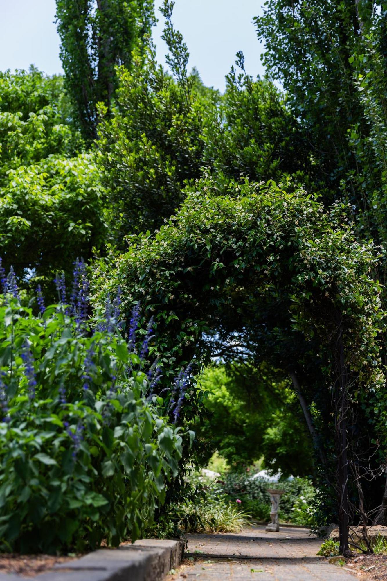 Lavender Hill Country Estate And Wedding Venue Guest House Bethlehem Exterior foto